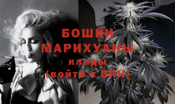 индика Зеленокумск