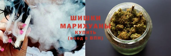 индика Зеленокумск