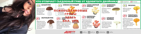 тгк Зерноград
