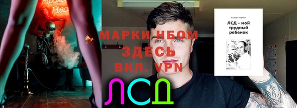 индика Зеленокумск