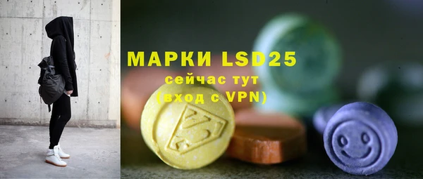индика Зеленокумск