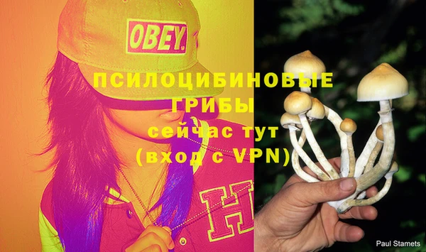 индика Зеленокумск