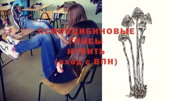 индика Зеленокумск