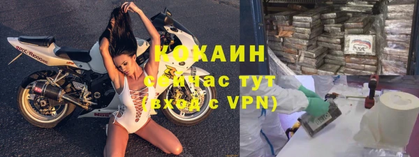 индика Зеленокумск