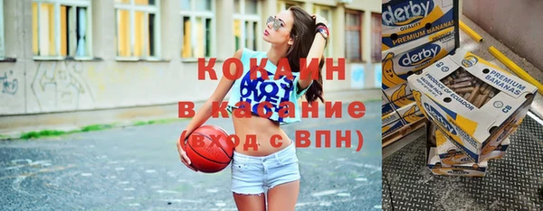 индика Зеленокумск