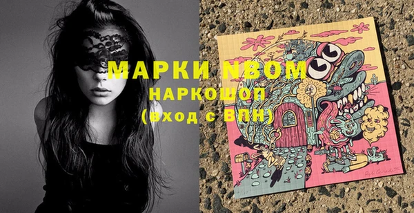 индика Зеленокумск