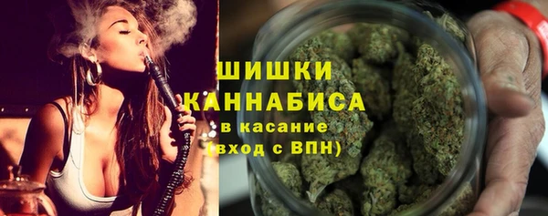 индика Зеленокумск
