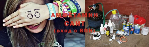индика Зеленокумск